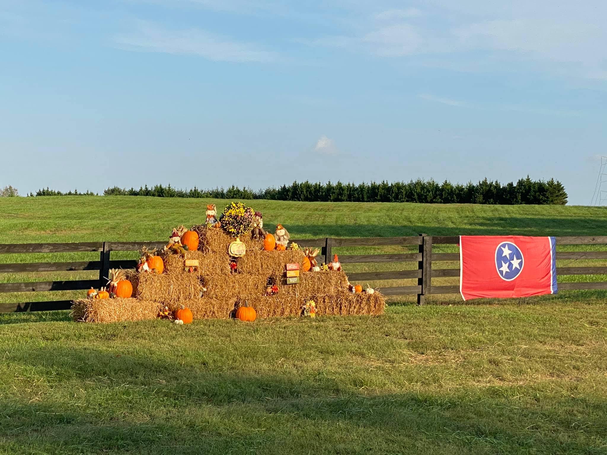 Fall decorations with a TN flag