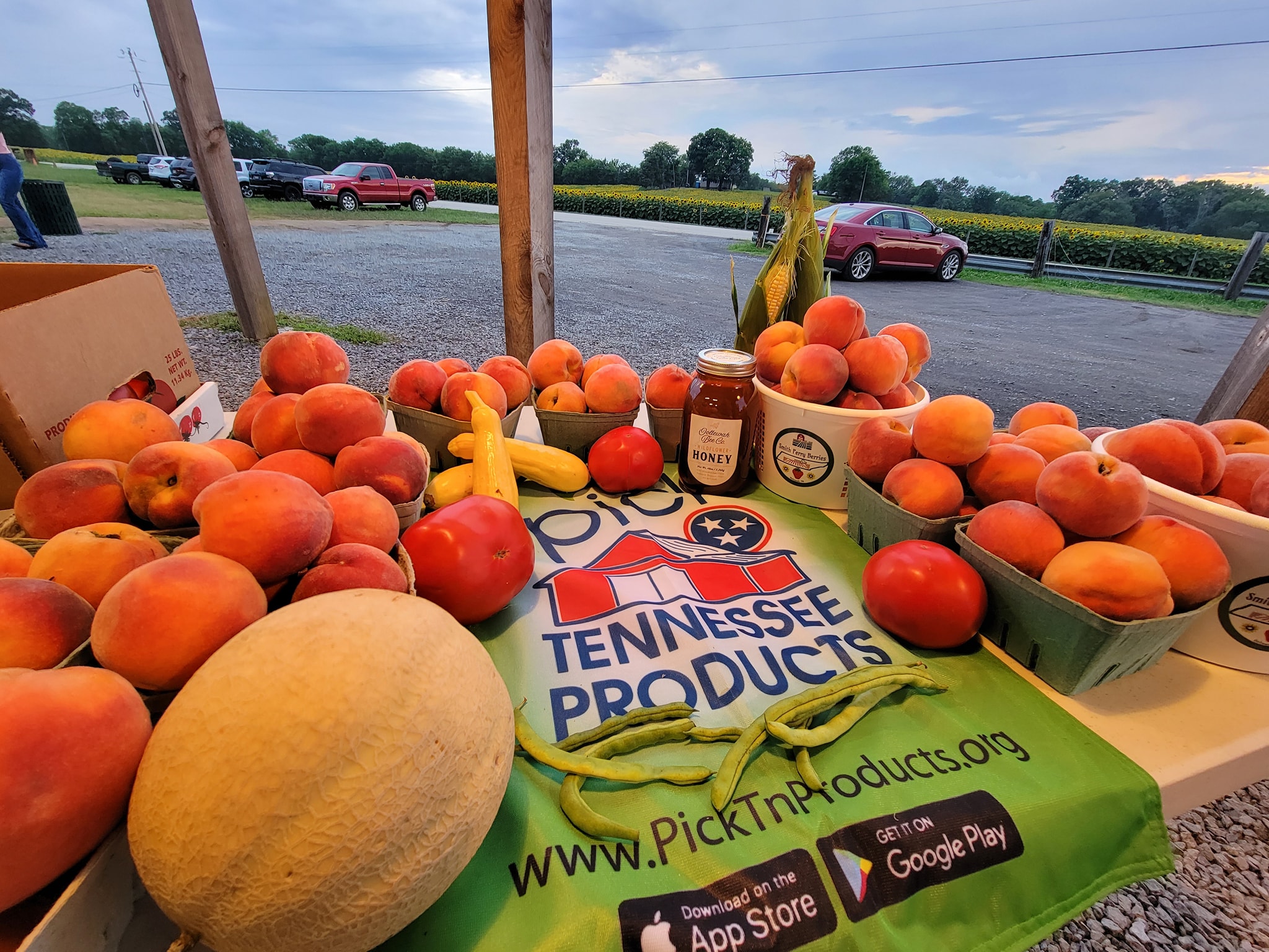 Summer produce on a Tennessee Products bag