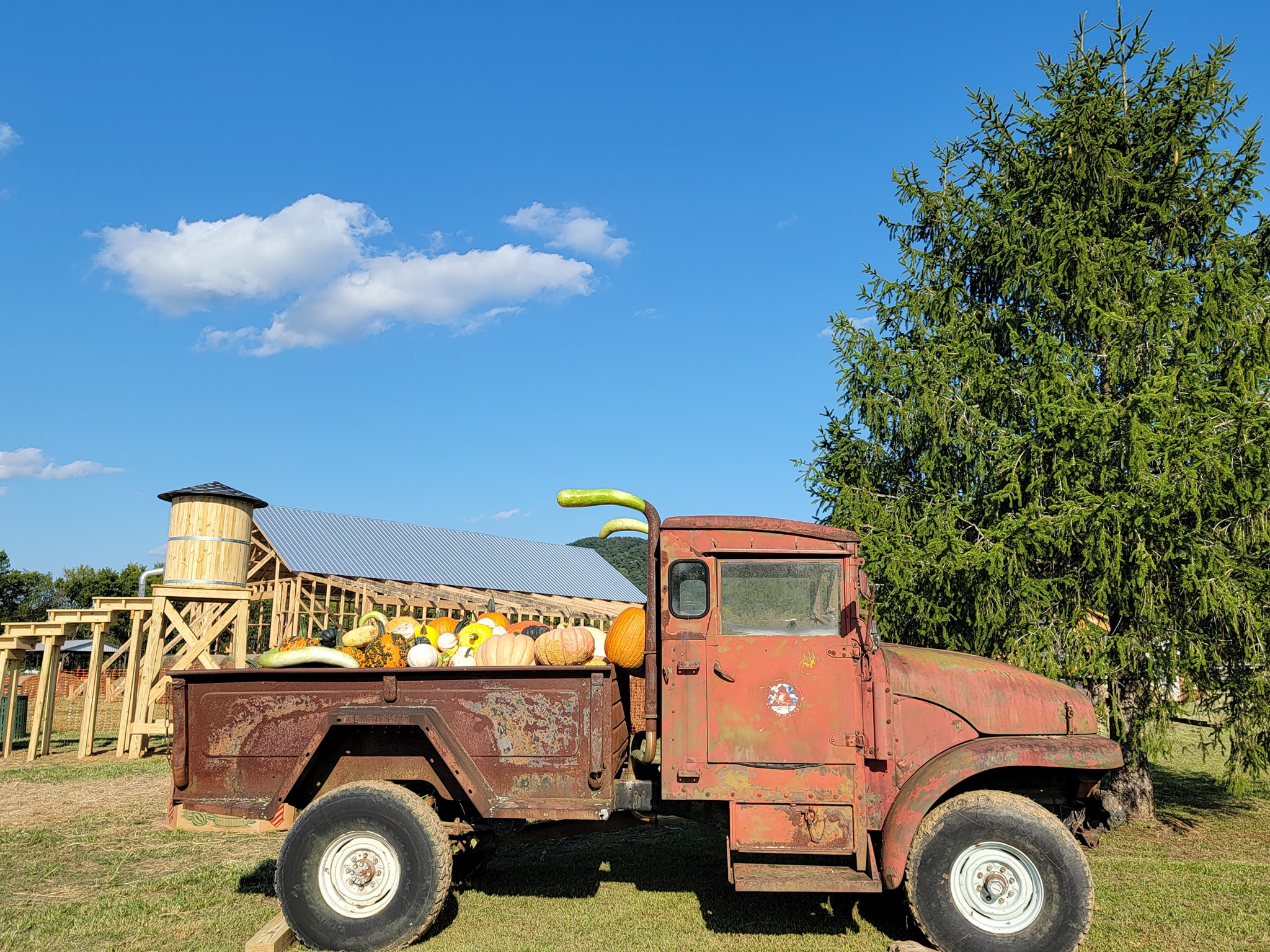 Rusty truck loaded with pumpkins