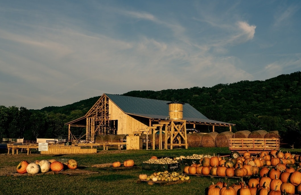 Barn under construction with pumpkins sitting in the field.